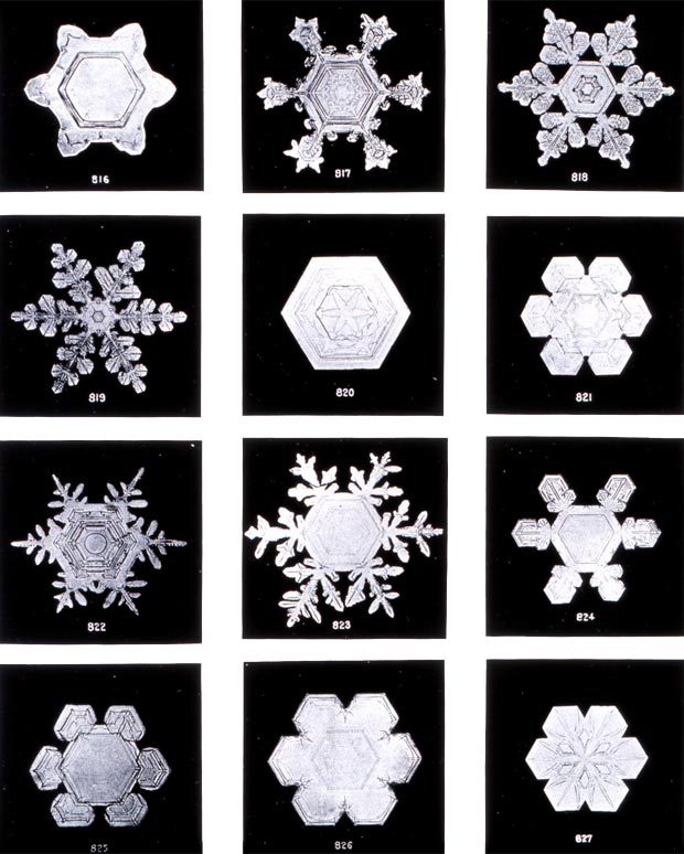 Wilson Bentley snowflakes