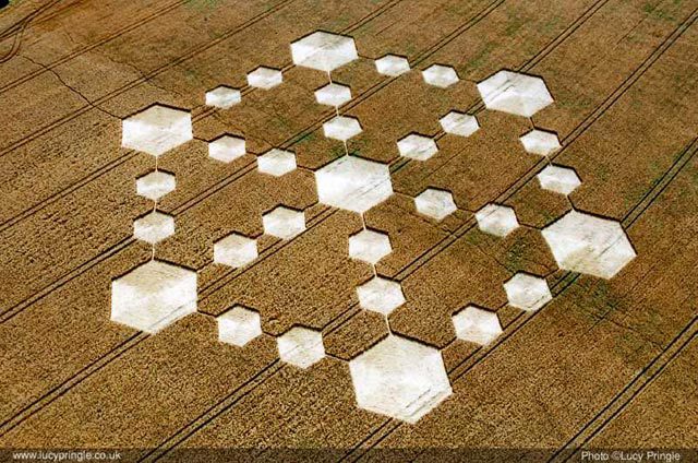 Crop formation: Wiltshire, 2005
