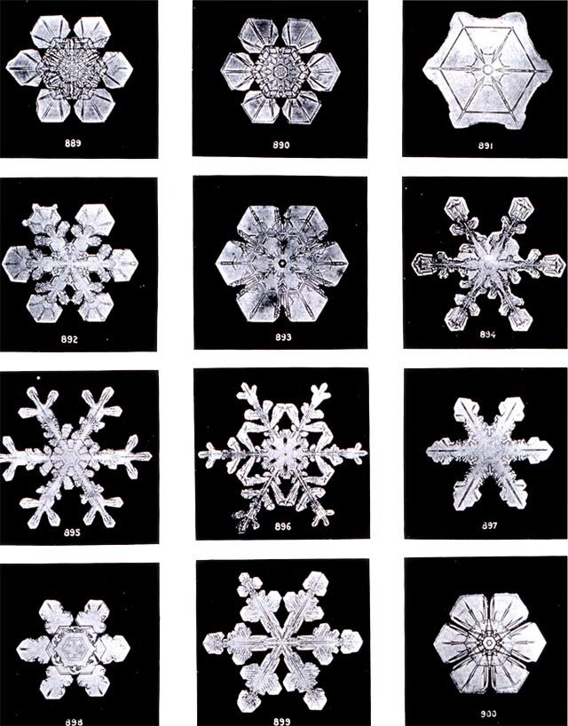 Wilson Bentley snowflakes