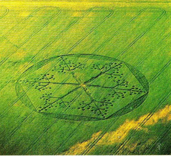 Crop formation / crop circle