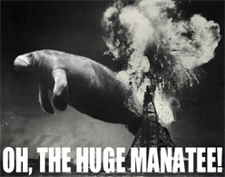 Oh the huge manatee