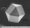 Cuboctahedral synthetic diamond crystal