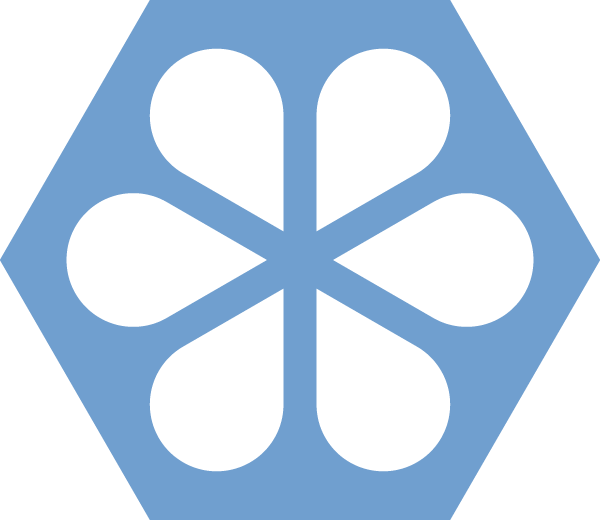 Hexnet logo light blue